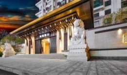 桐乡网红最新爆料,揭秘网红背后的惊人真相！